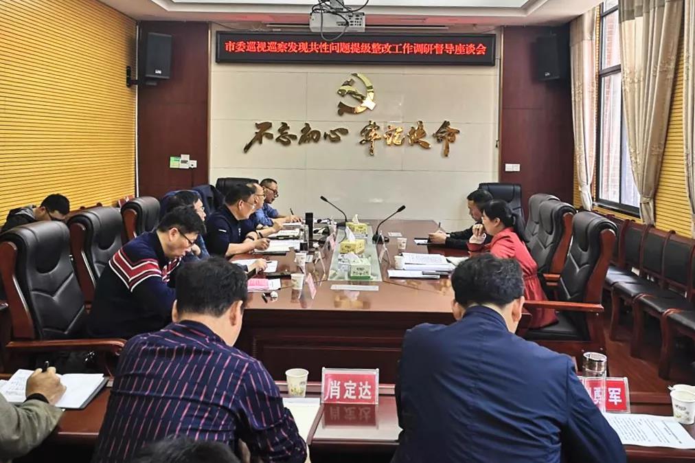 市委巡察工作领导小组调研督导新邵巡视巡察发现共性问题提级整改工作_邵阳头条网