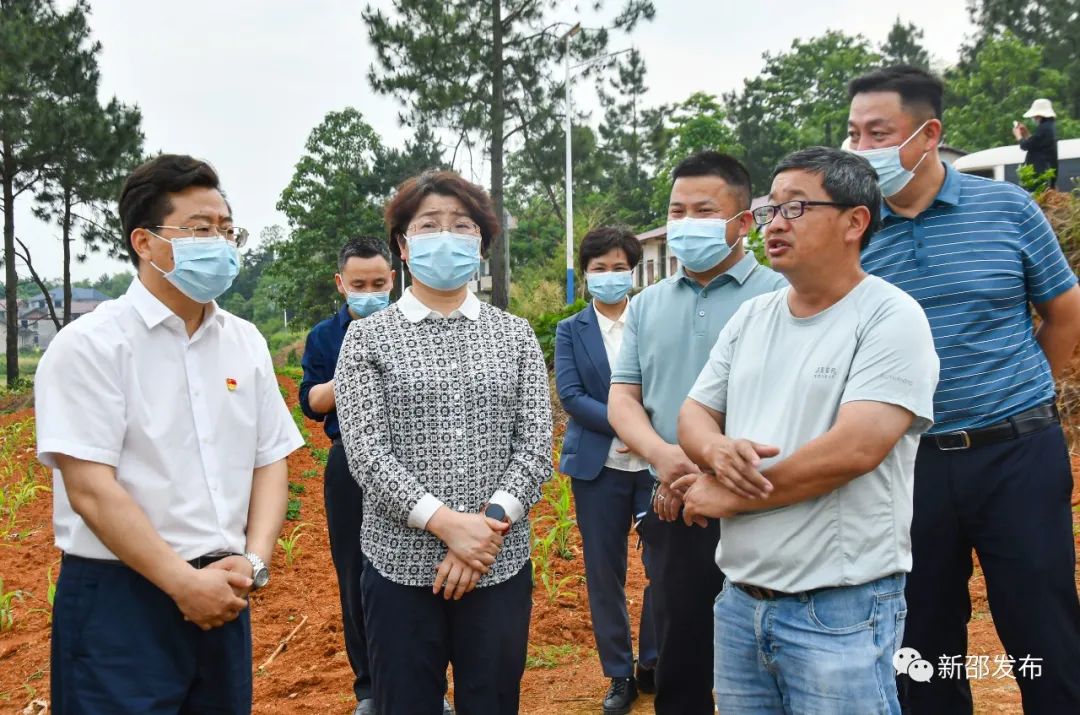 ​周迎春调研新邵粮食生产和耕地抛荒治理工作_邵阳头条网