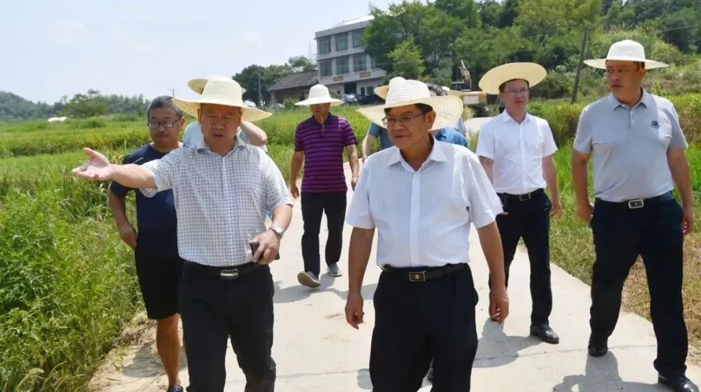 欧阳彪来新邵调研旱情和抗旱工作_邵阳头条网