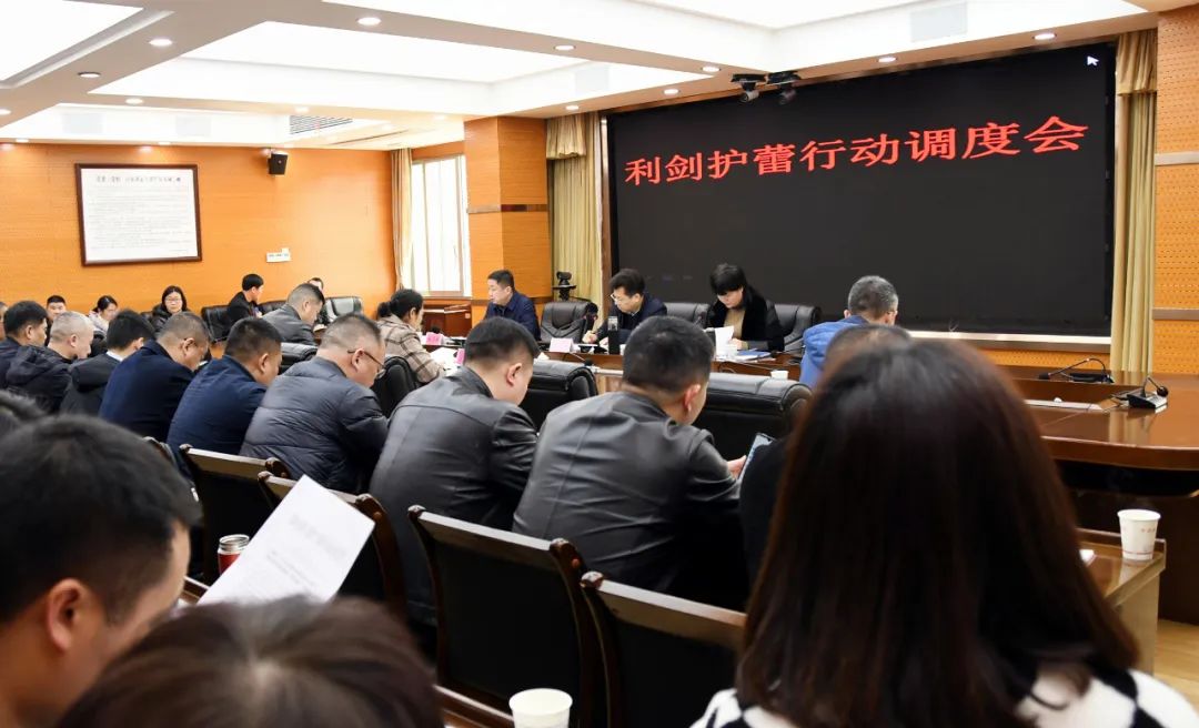 有报必接有案必查有查必果有罪必惩，新邵调度利剑护蕾专项行动_邵阳头条网
