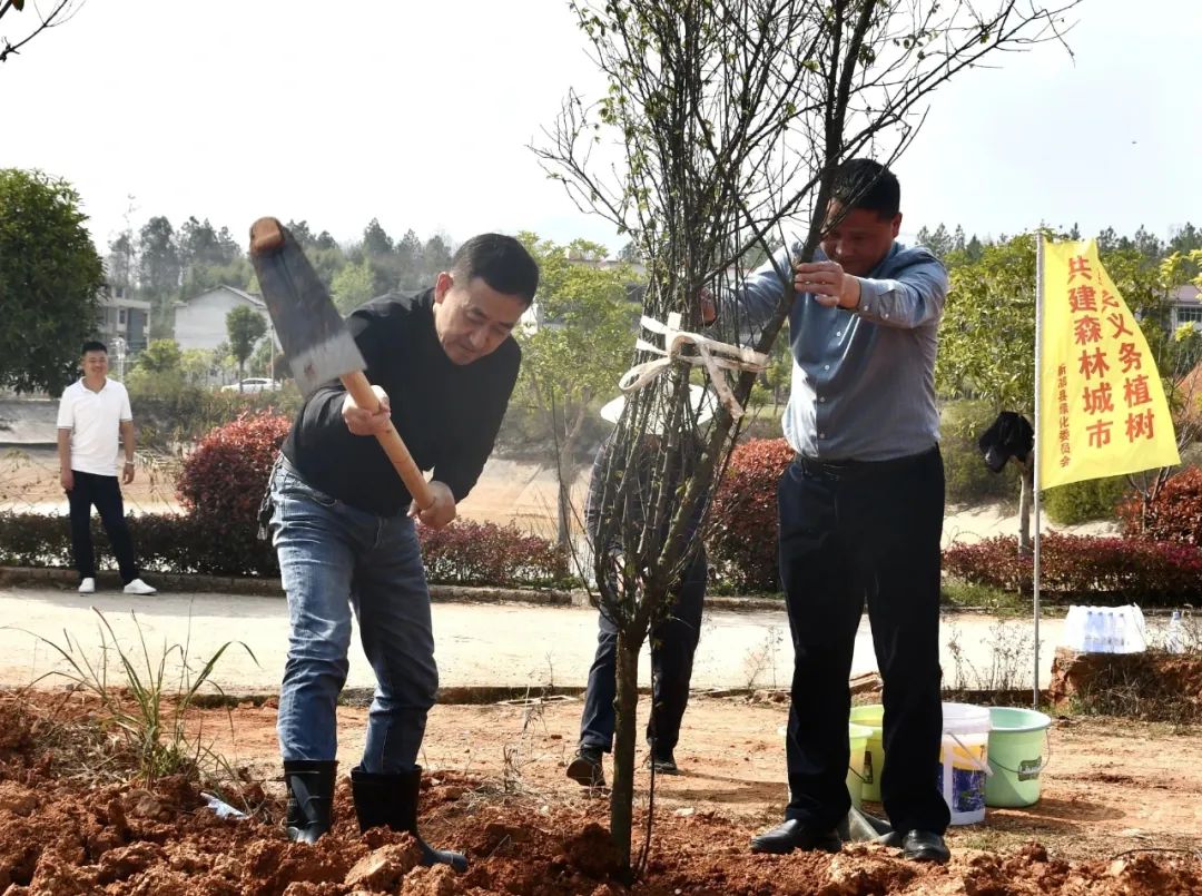 陈历贤参加义务植树活动_邵阳头条网