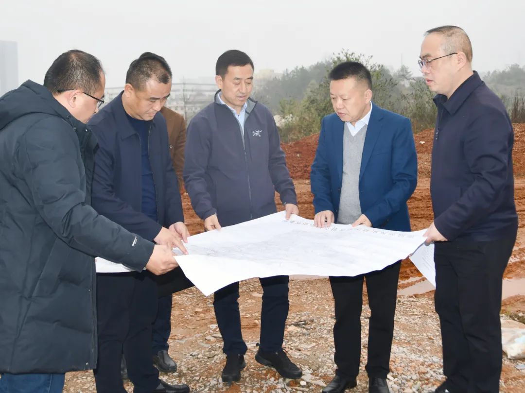 解决 “堵点”“难点”问题，陈历贤调研重点项目建设_邵阳头条网