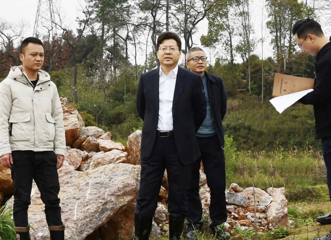 贺朝晖检查督导违规用地整治工作_邵阳头条网