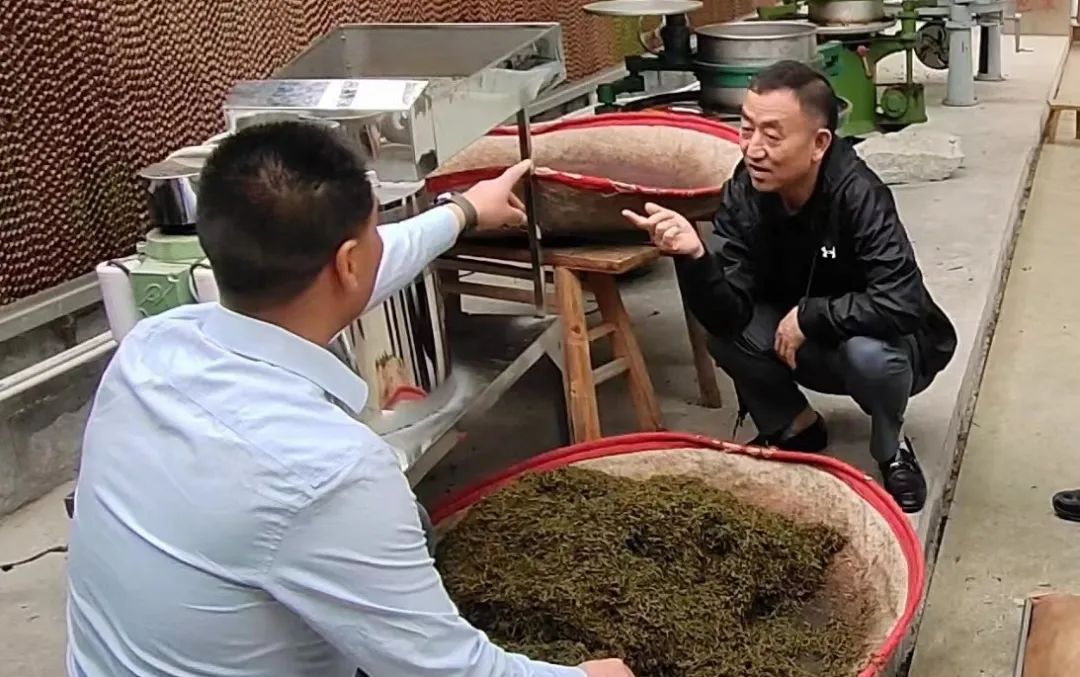 陈历贤到小河村调研指导工作_邵阳头条网
