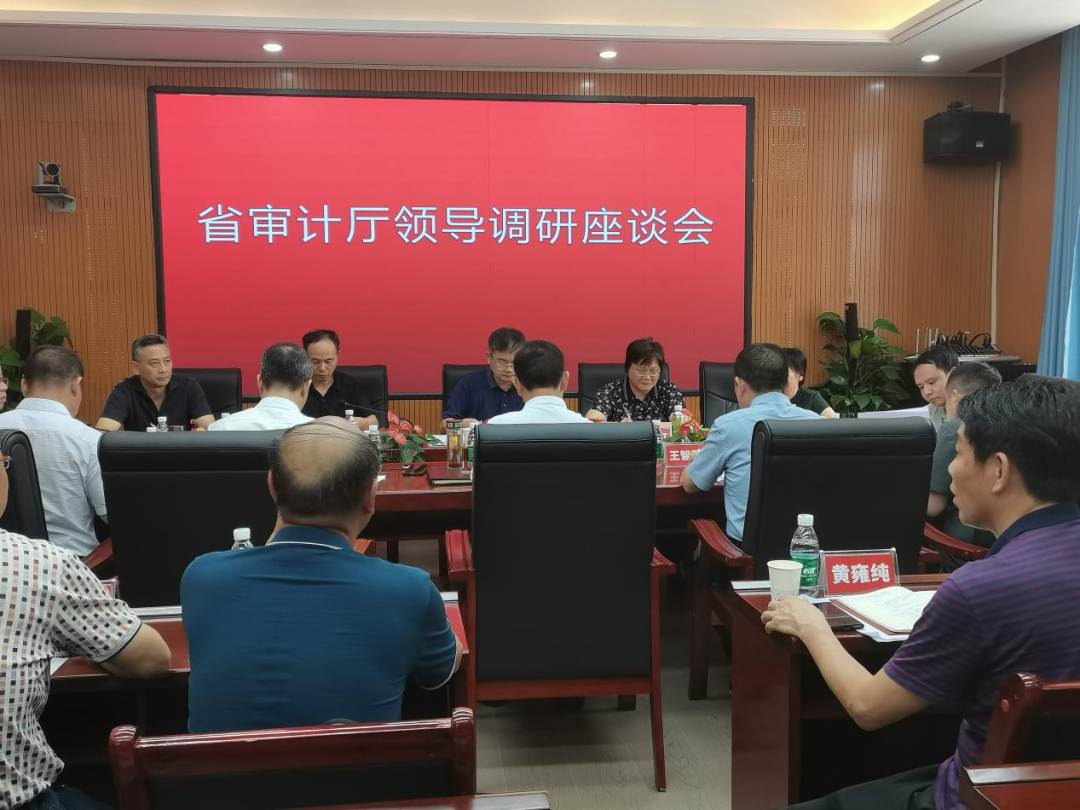 省审计厅调研组调研指导新邵审计工作_邵阳头条网