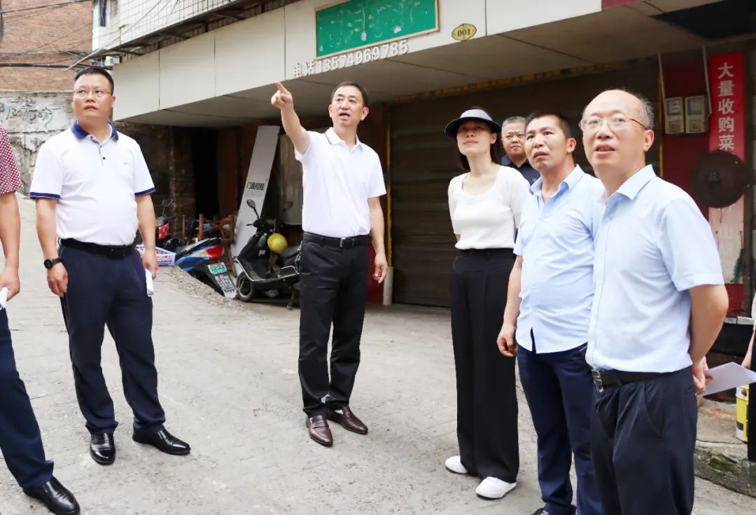陈历贤调研督导国卫复审国文创建工作_邵阳头条网