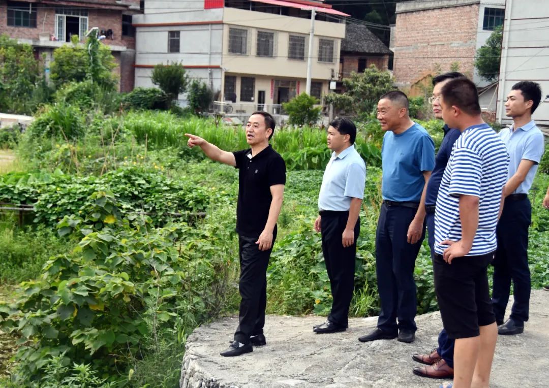 陈历贤调研寸石镇农业发展和防旱抗旱工作_邵阳头条网