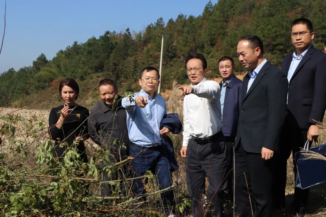省科协来新邵调研特色产业发展情况_邵阳头条网