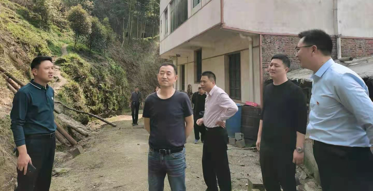 新邵县新邵县长陈历贤到龙溪铺镇督导粮食生产及耕地抛荒整治工作_邵阳头条网