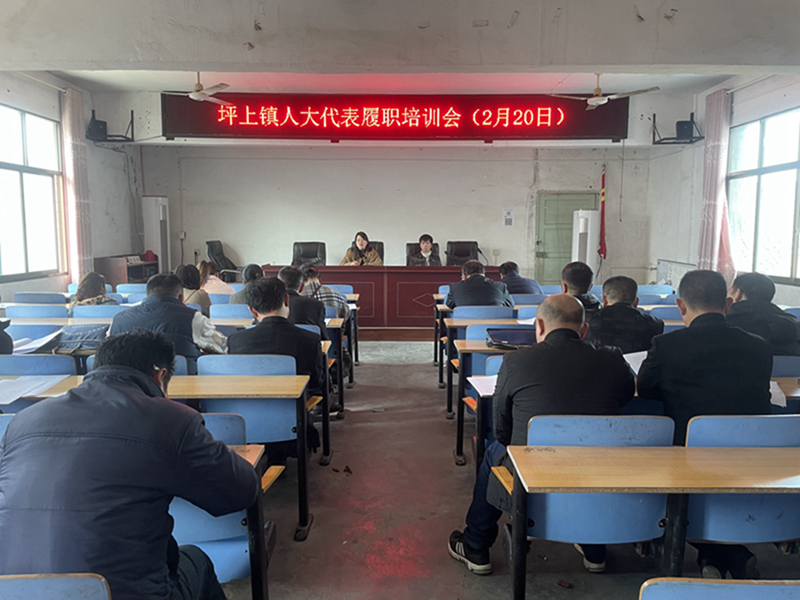 新邵县坪上镇开展新邵县人大代表履职培训_邵阳头条网