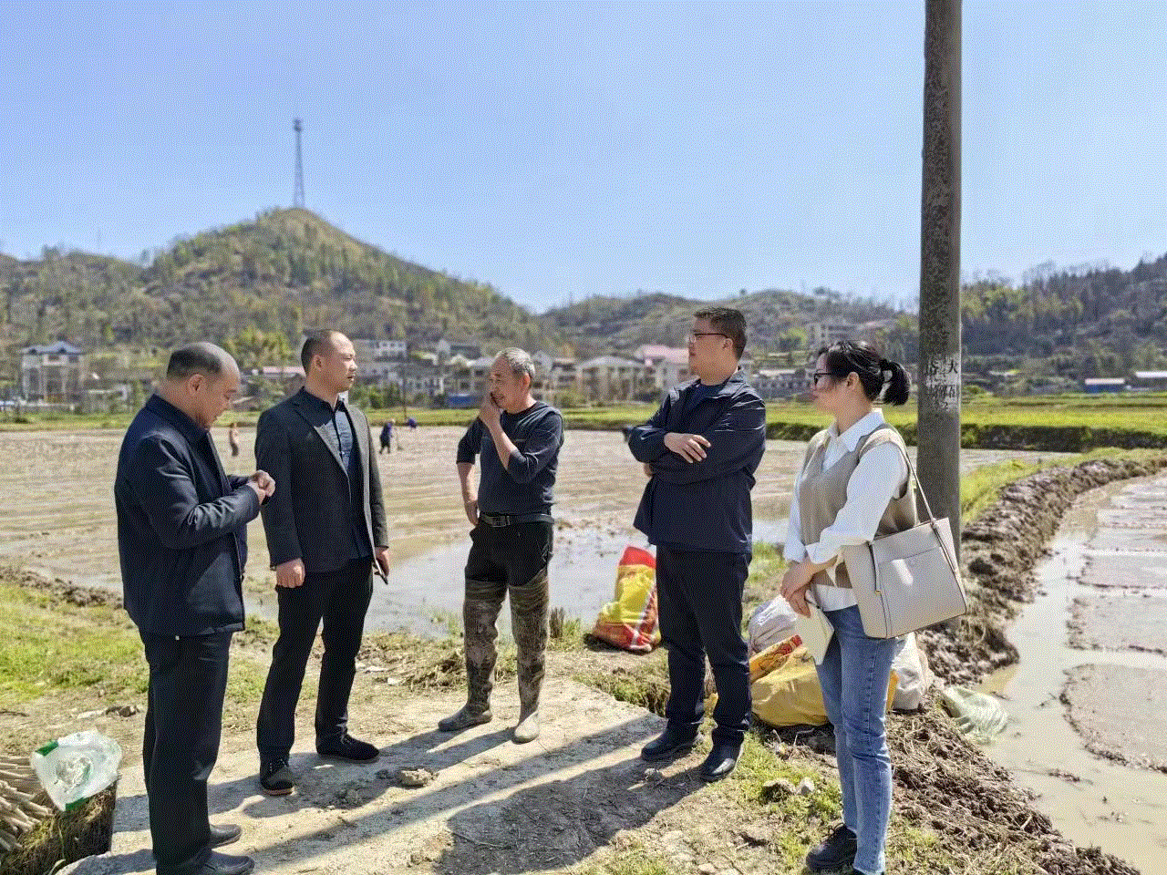 多管齐下有序推进春耕备耕工作_邵阳头条网