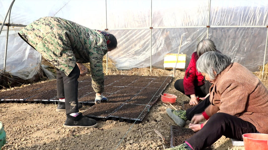 新邵:送金融“活水”到田间地头_邵阳头条网