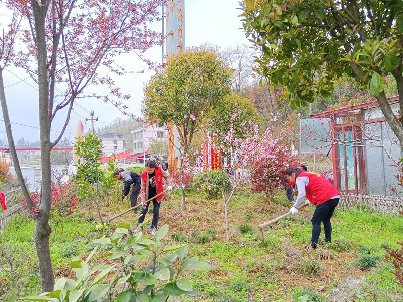值此青绿，护春当时_邵阳头条网