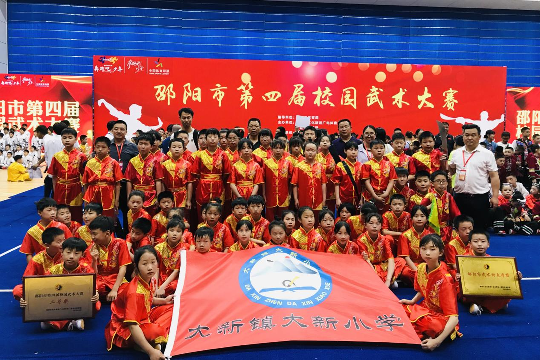 大新镇大新完全小学:为农村娃娃播下“武术”种子_邵阳头条网