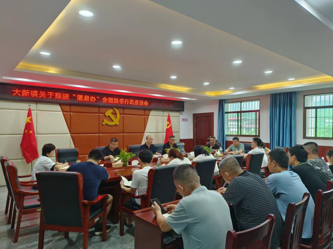 政务公开主题日：大新镇召开“湘易办”全面提标行动座谈会_邵阳头条网