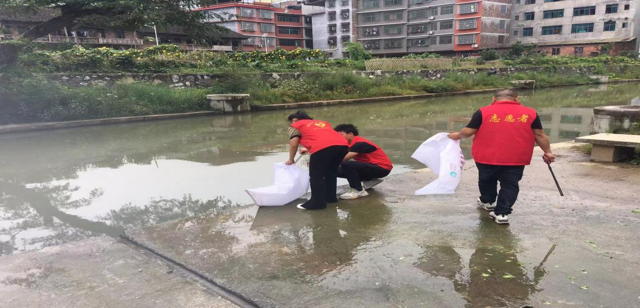 龙溪铺镇：开展“河小青”志愿服务活动_邵阳头条网