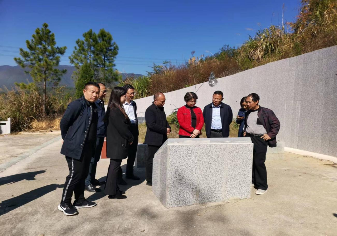 周迎春赴新邵县严塘镇调研人大工作_邵阳头条网