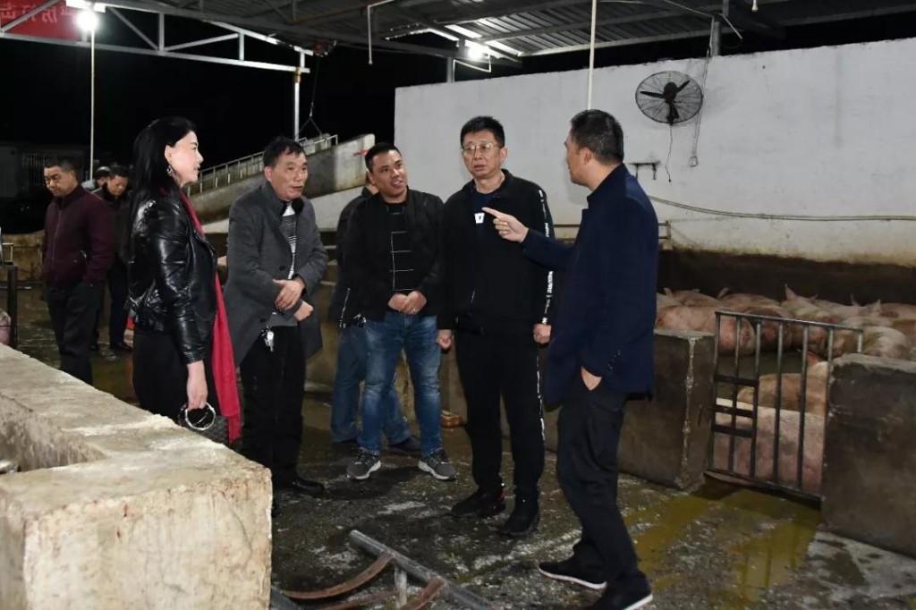 深夜开展督查，新邵落实中南区活猪禁运调入工作(图1)