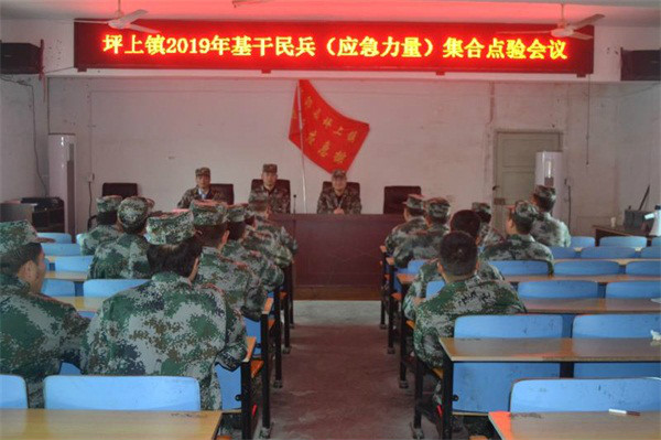 坪上镇：开展2019年基干民兵点验与山洪地质灾害避灾演练(图1)