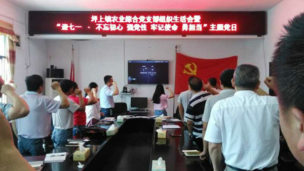 坪上镇农业综合服务站党支部开展主题党日活动(图1)