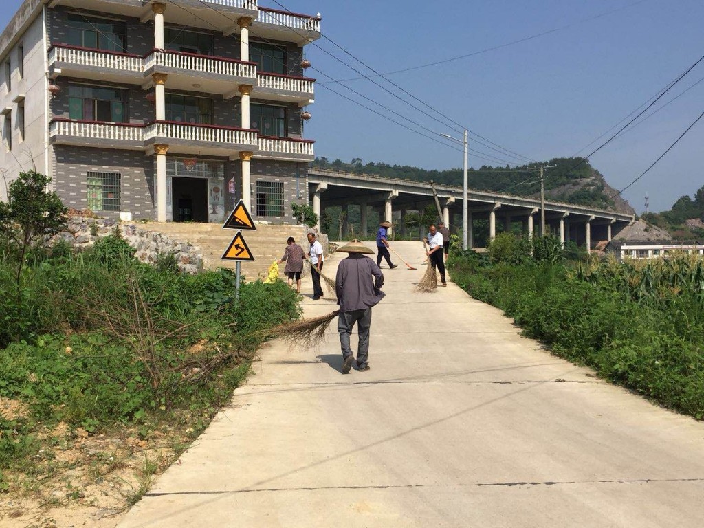 雀塘腊石村开展环境卫生大扫除行动(图1)