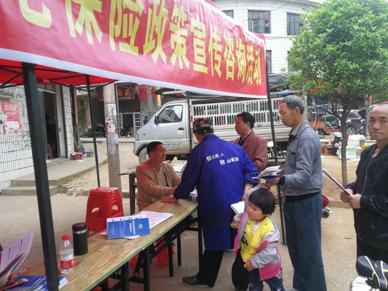 新邵县寸石镇为城乡居民送去政策明白卡(图1)