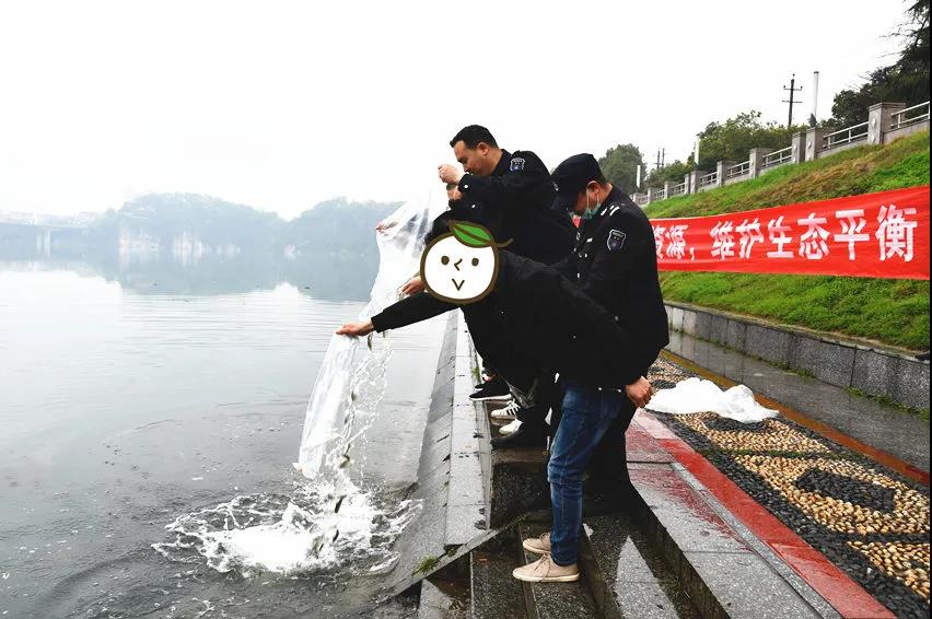 新邵严厉打击非法捕鱼(图1)