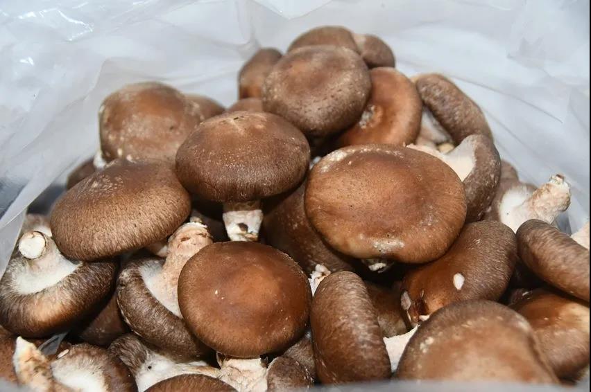 新邵县委办开展消费扶贫(图2)