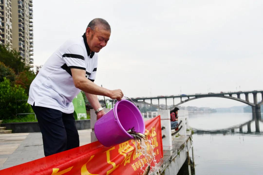 新邵大力保护资江流域生态环境放流“四大家鱼”600万尾(图2)