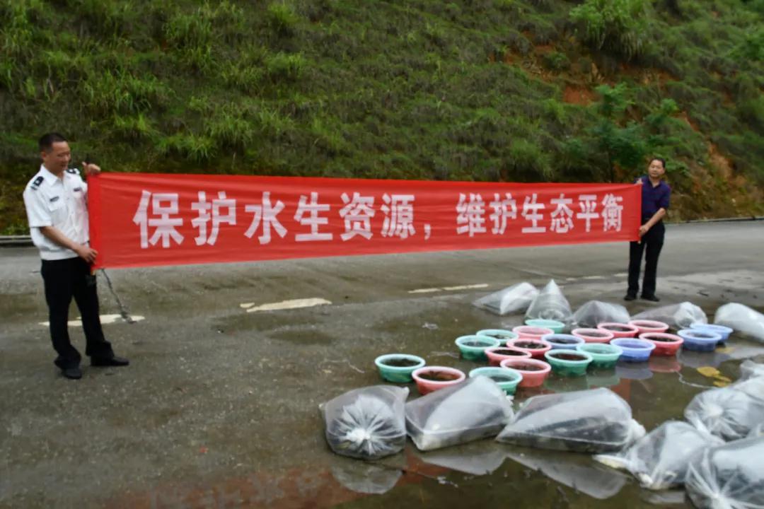 新邵县严厉打击非法捕捞行为(图2)