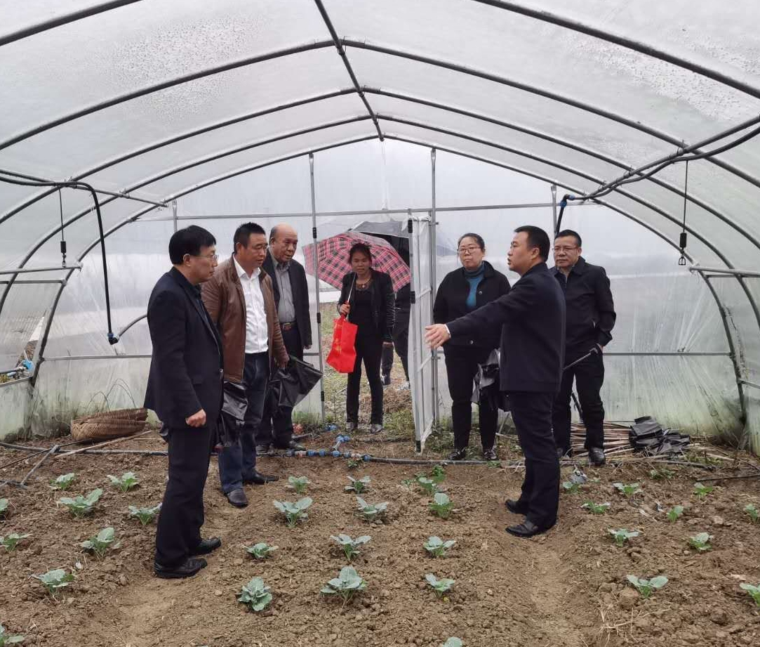 邵阳市重点移民工作座谈会在新邵召开(图1)