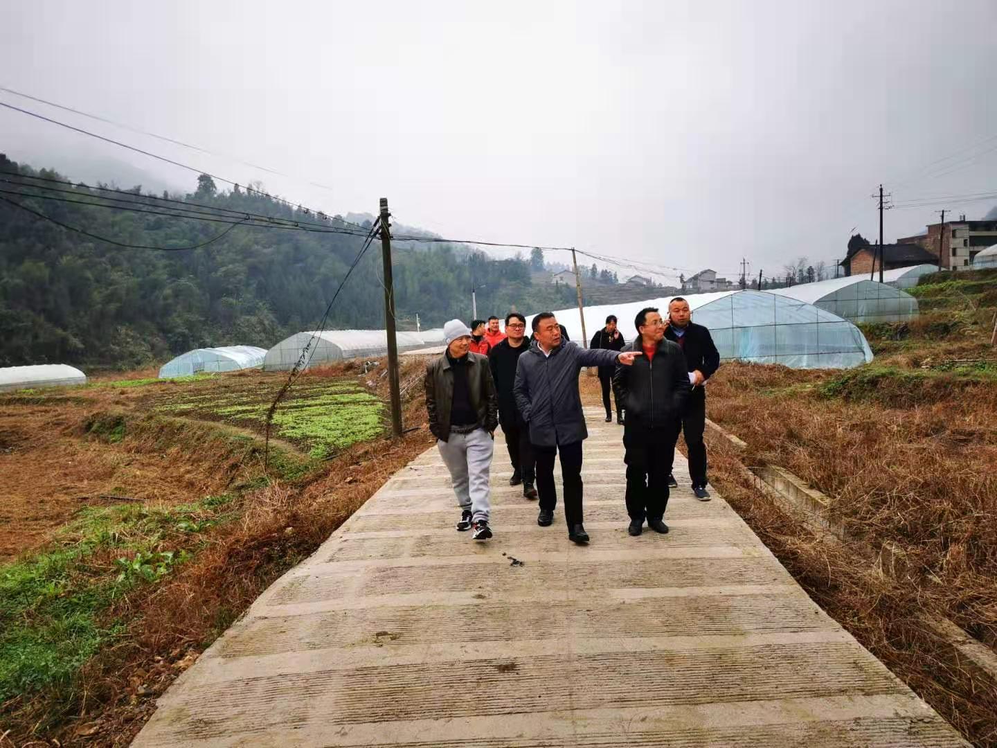 市库区移民事务中心至新邵县潭溪镇验收重点移民村整村推进项目(图2)