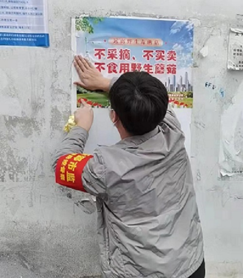 新邵县市场监督管理局启动全覆盖开展毒蘑菇防控行动(图1)