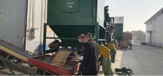 新邵县粮食收购井然有序(图1)