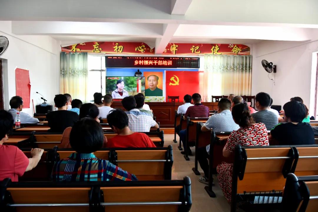新邵：线上齐充电 线下征意见，共商“乡村振兴图”(图1)