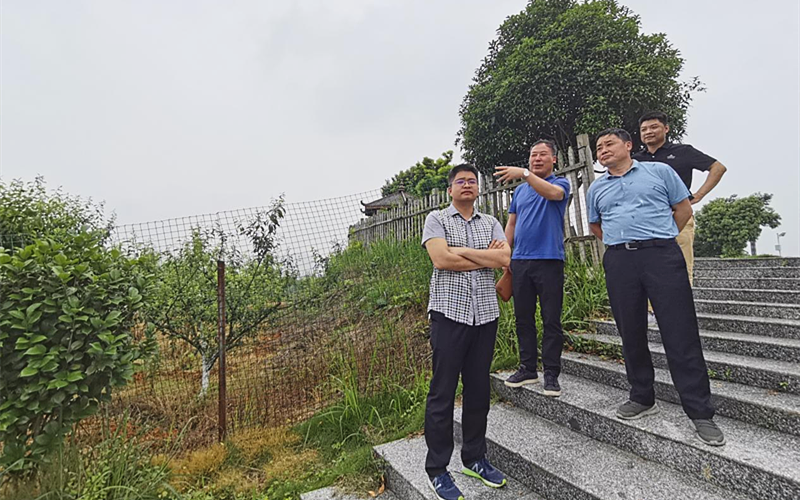 市发改委至新邵县开展巩固脱贫攻坚成果、防范脱贫后风险排查工作(图2)
