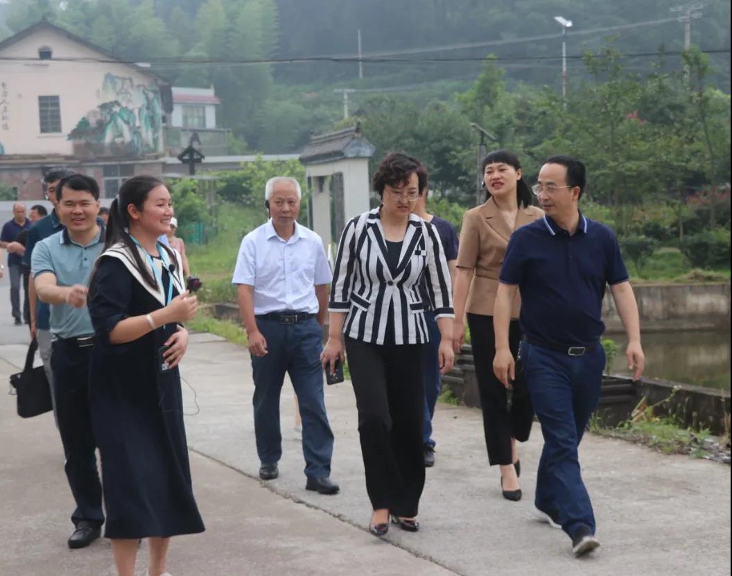 市政协专题视察新邵县美丽乡村建设(图1)