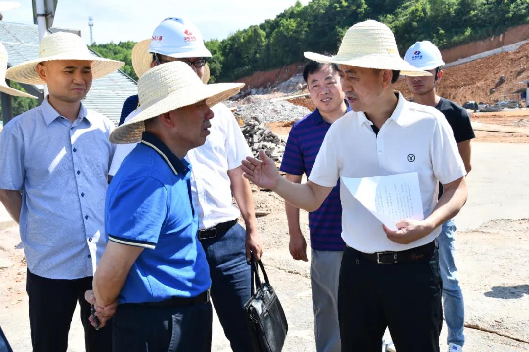 陈历贤率队调研县内重点项目(图3)