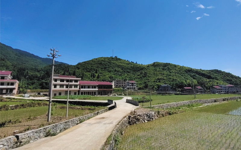 省发改委对新邵县以工代赈示范工程开展监督检查(图2)