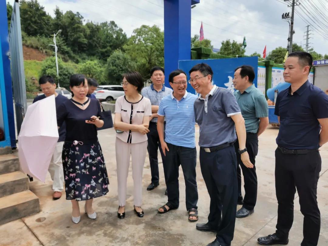 傅筝调研新邵工人文化宫项目建设(图1)