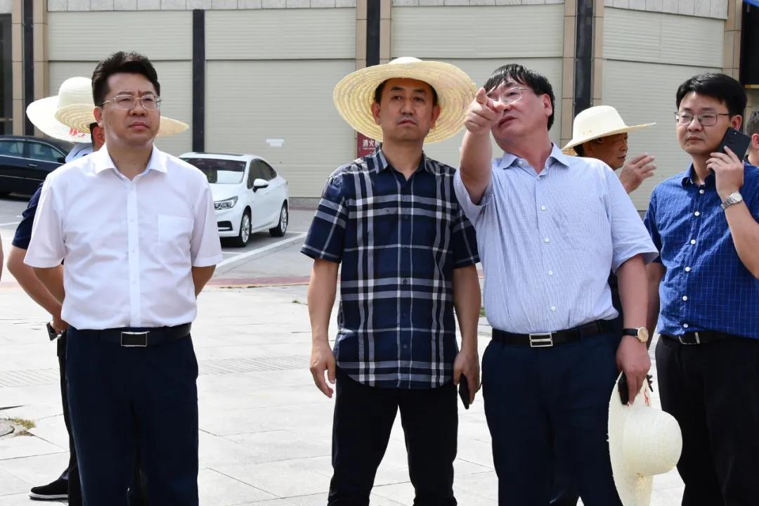 陈历贤贺朝晖率队调研城建工作(图2)