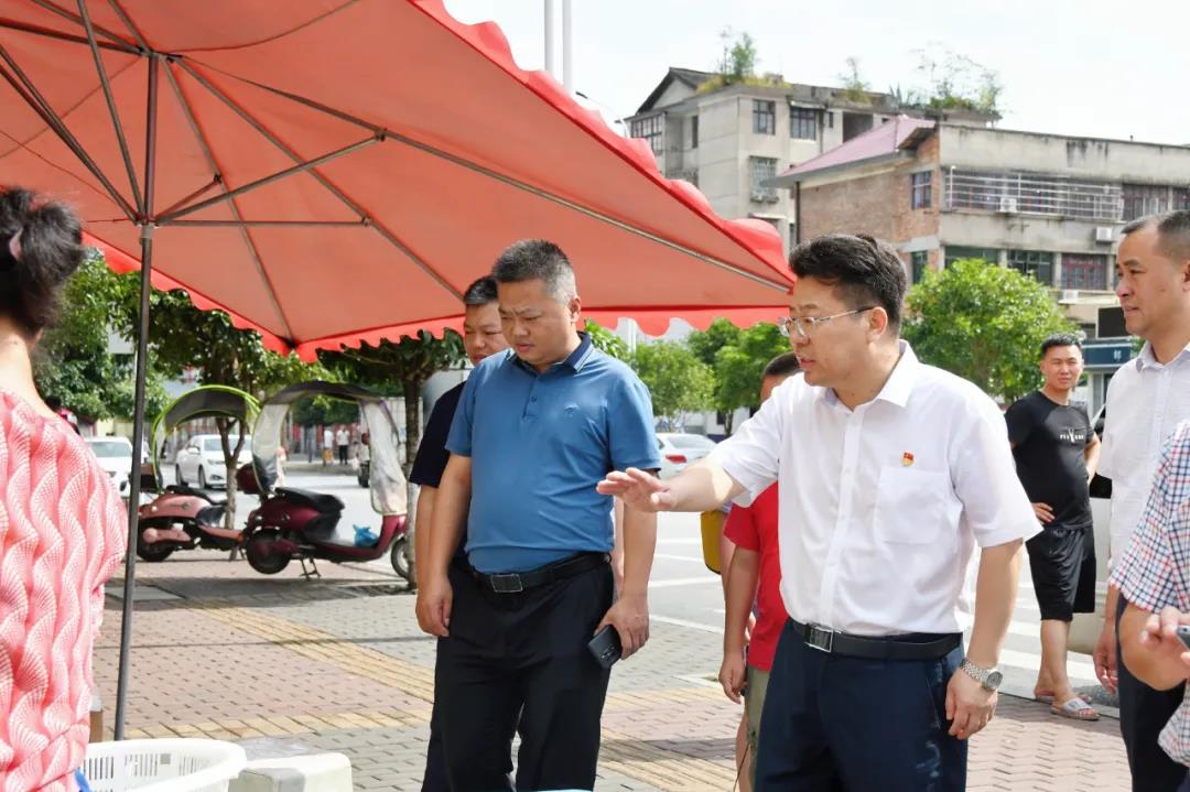 贺朝晖调研新邵经济开发区并督查“星期五大扫除”活动(图4)
