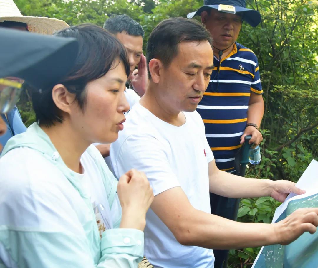 陈历贤踩线调研白水洞景区万步云梯项目(图1)
