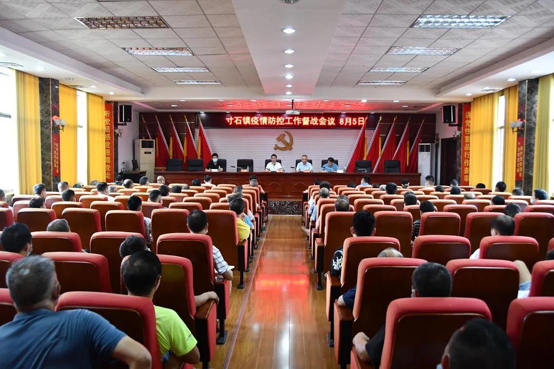 陈历贤督查指导乡镇疫情防控工作(图1)