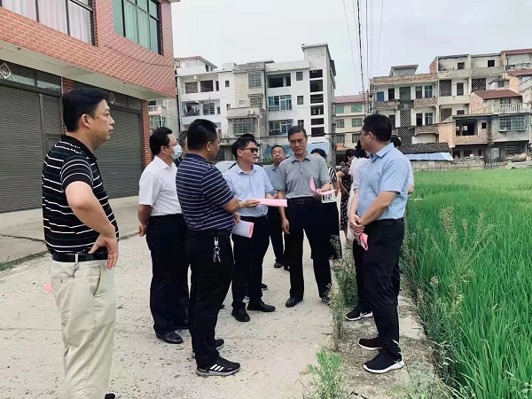 湖南省人大来新邵调研耕地保护和空心房整治工作(图1)