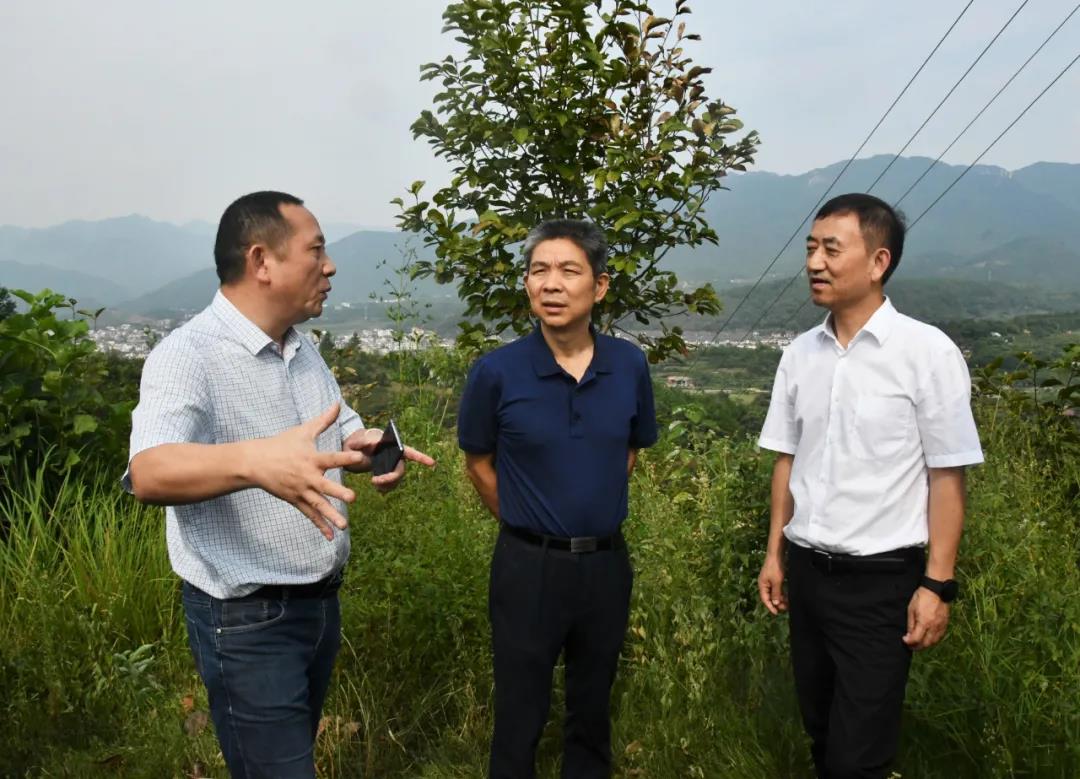 鞠晓阳调研严塘镇花亭子村乡村振兴(图1)