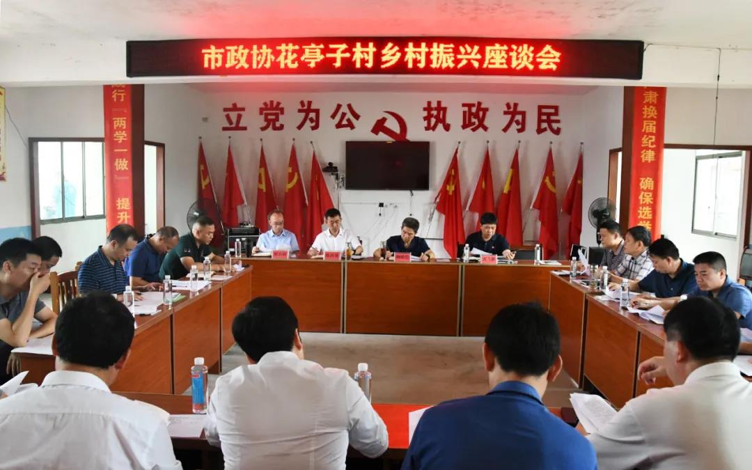 鞠晓阳调研严塘镇花亭子村乡村振兴(图2)