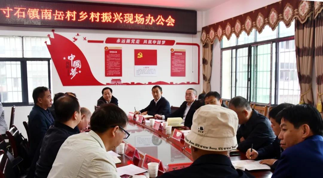 肖拥军调研南岳村乡村振兴工作(图2)