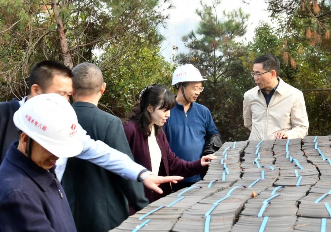 阳晓华来新邵调研党史学习教育“我为群众办实事”项目建设和基层人大工作(图1)