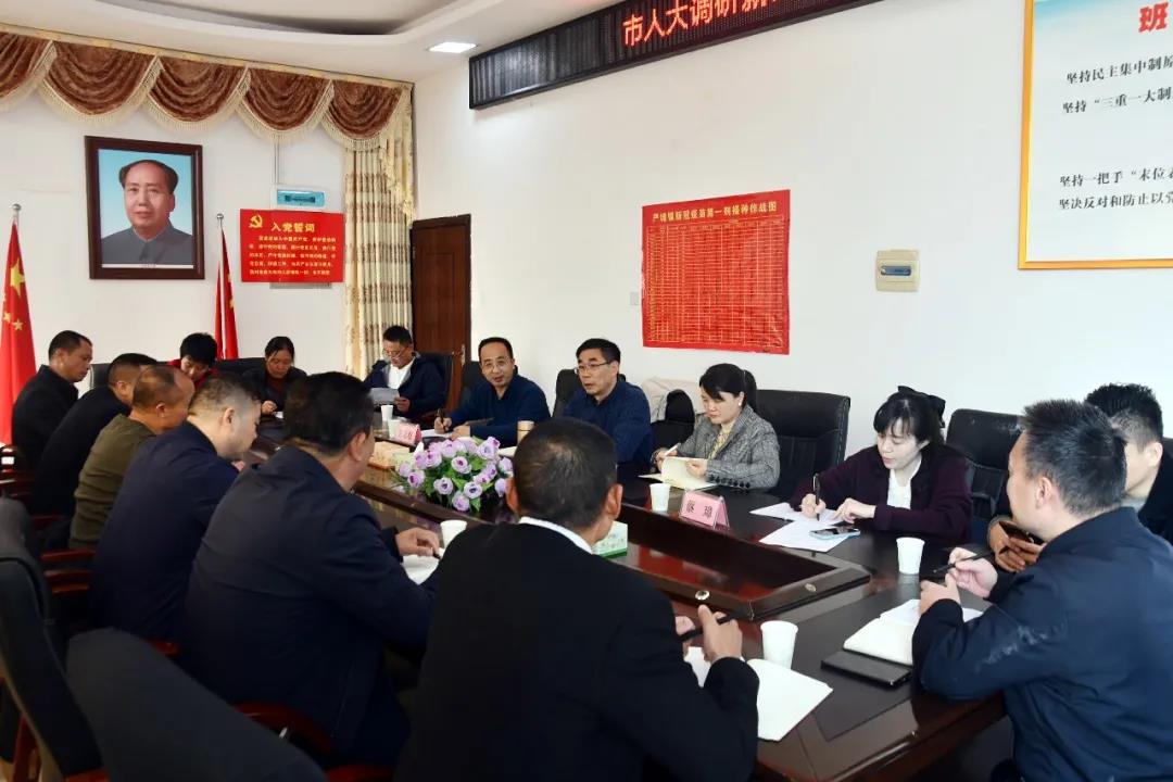 阳晓华来新邵调研党史学习教育“我为群众办实事”项目建设和基层人大工作(图2)